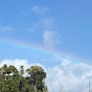 Meet your Posher, Adriana